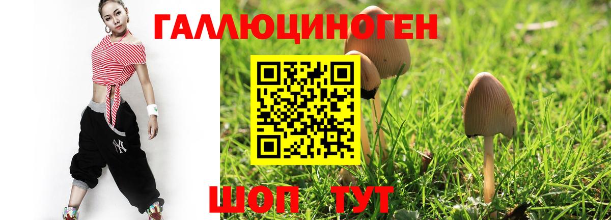 Магнитогорск  Псилоцибиновые грибы Magic Shrooms  Вход с VPN 